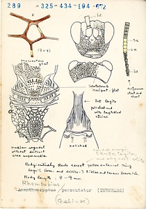 岩田久二雄フィールドノート