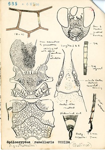 岩田久二雄フィールドノート