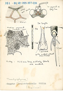 岩田久二雄フィールドノート