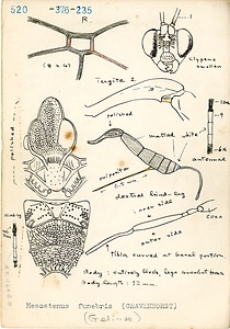 岩田久二雄フィールドノート