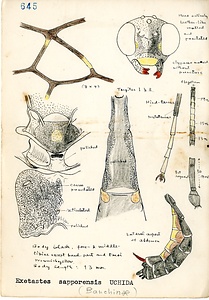 岩田久二雄フィールドノート