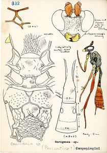岩田久二雄フィールドノート