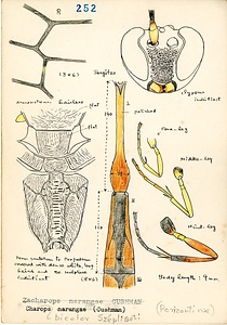 岩田久二雄フィールドノート