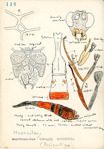 岩田久二雄フィールドノート