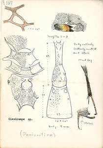 岩田久二雄フィールドノート