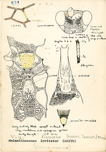 岩田久二雄フィールドノート