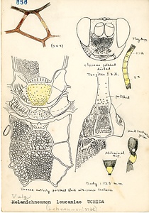 岩田久二雄フィールドノート