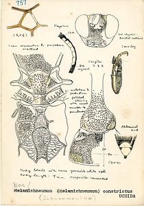 岩田久二雄フィールドノート