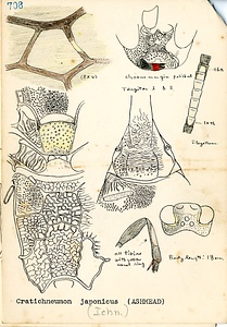 岩田久二雄フィールドノート