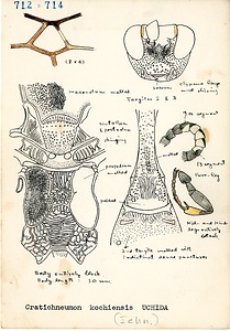 岩田久二雄フィールドノート