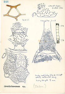 岩田久二雄フィールドノート