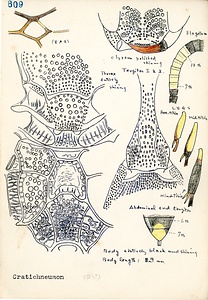 岩田久二雄フィールドノート