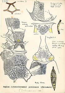 岩田久二雄フィールドノート