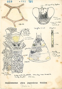 岩田久二雄フィールドノート
