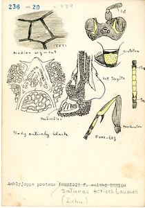 岩田久二雄フィールドノート