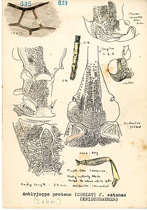 岩田久二雄フィールドノート