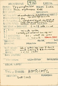 岩田久二雄フィールドノート