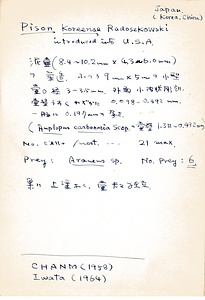 岩田久二雄フィールドノート