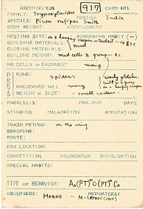 岩田久二雄フィールドノート