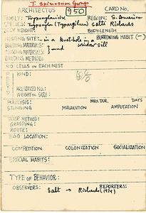 岩田久二雄フィールドノート