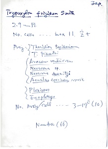 岩田久二雄フィールドノート