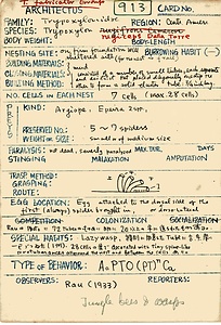 岩田久二雄フィールドノート