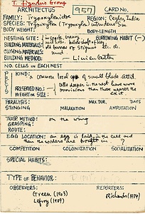 岩田久二雄フィールドノート