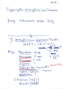 岩田久二雄フィールドノート