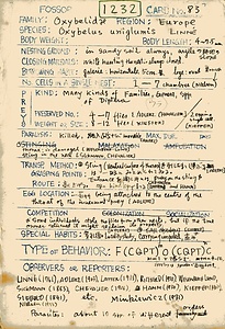 岩田久二雄フィールドノート