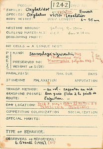 岩田久二雄フィールドノート