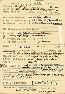 岩田久二雄フィールドノート