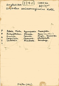 岩田久二雄フィールドノート