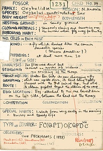 岩田久二雄フィールドノート