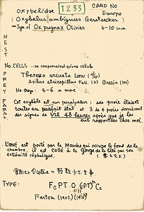 岩田久二雄フィールドノート