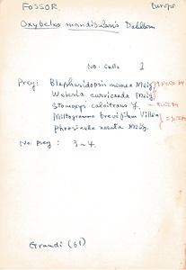 岩田久二雄フィールドノート