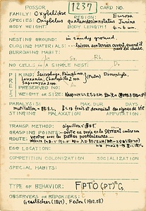 岩田久二雄フィールドノート