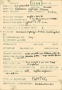 岩田久二雄フィールドノート