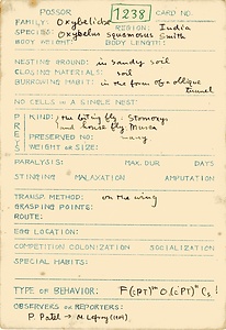 岩田久二雄フィールドノート