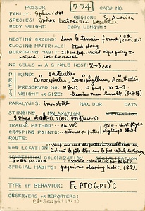 岩田久二雄フィールドノート