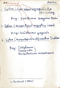 岩田久二雄フィールドノート