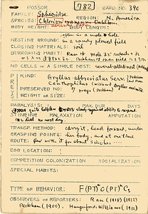 岩田久二雄フィールドノート