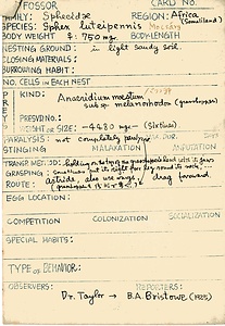 岩田久二雄フィールドノート