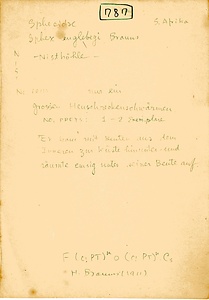 岩田久二雄フィールドノート