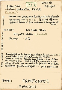 岩田久二雄フィールドノート