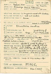 岩田久二雄フィールドノート