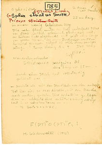 岩田久二雄フィールドノート