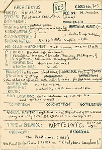 岩田久二雄フィールドノート