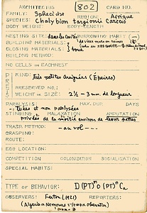 岩田久二雄フィールドノート