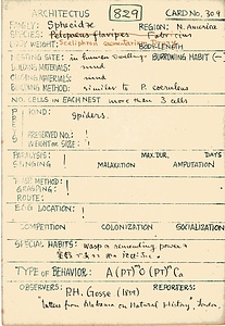 岩田久二雄フィールドノート