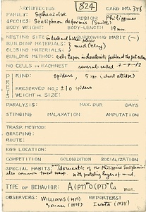 岩田久二雄フィールドノート